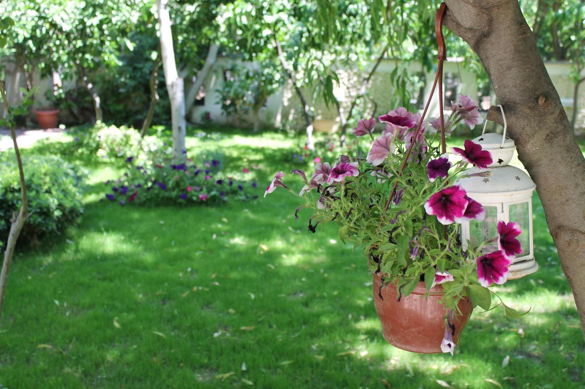Bella Garden Hotel Bodrum Exterior foto