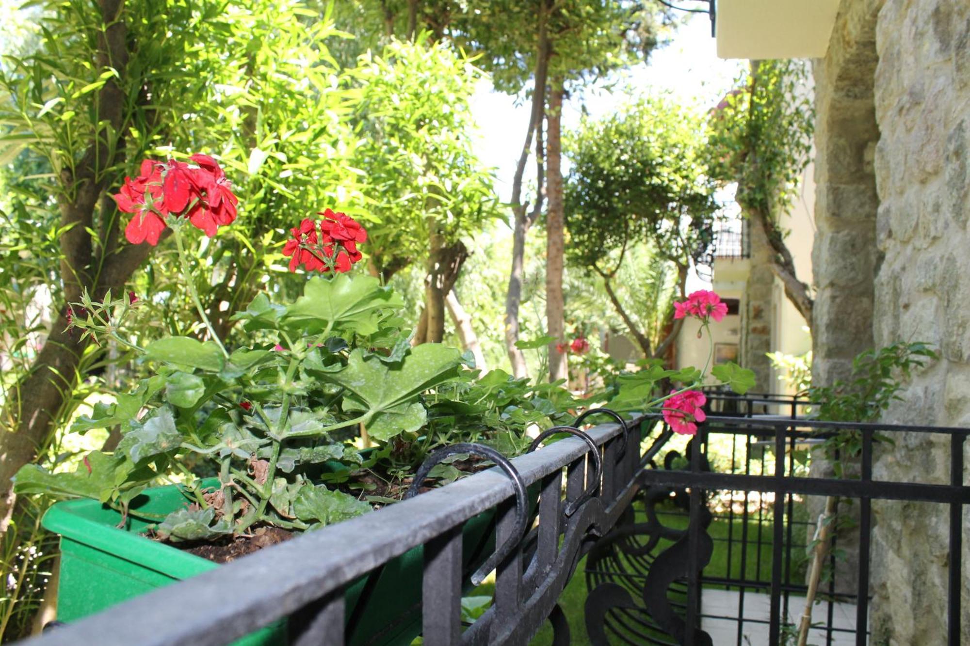 Bella Garden Hotel Bodrum Exterior foto